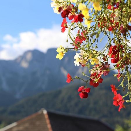 Fewo Baurechthof Goderschach Buitenkant foto
